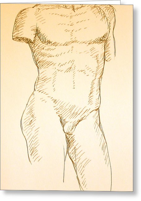 455x646 Male Torso Drawing By Deborah Dendler - Male Torso Sketch