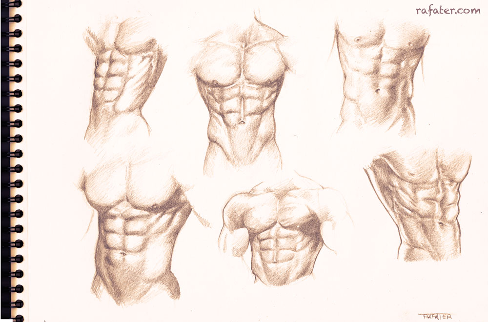 1000x660 Male Torso Study For The Six Pack Lovers By Rafater - Male Torso Sketch