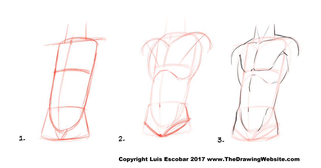 1104x579 Takahiro Kimura Anime Male Torso The Drawing Website - Male Torso Sketch