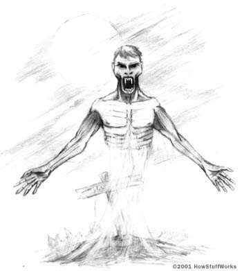 350x391 Later Vampires Howstuffworks - Male Vampire Sketch