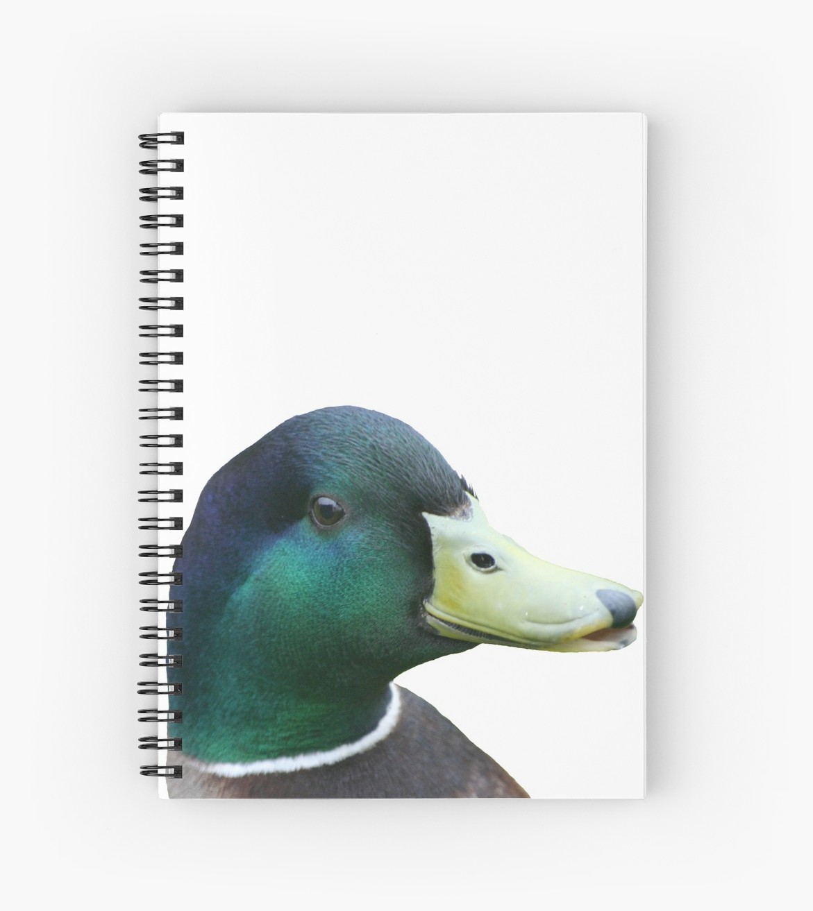 1171x1313 Mallard Duck Spiral Notebooks By Sharmo Redbubble - Mallard Duck Sketch