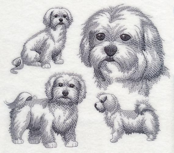 570x502 Maltese Sketch Machine Embroidery Quilt Block Azeb Etsy - Maltese Sketch