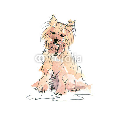 400x400 Watercolor Illustration Of Maltese Dog Sketch Isolated On White - Maltese Sketch