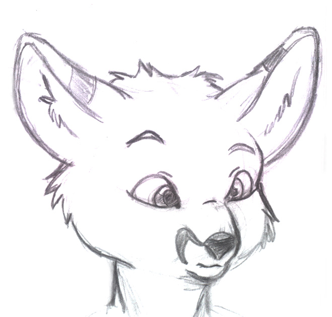 659x630 Mammal Sketch By Ataricat5 - Mammal Sketch