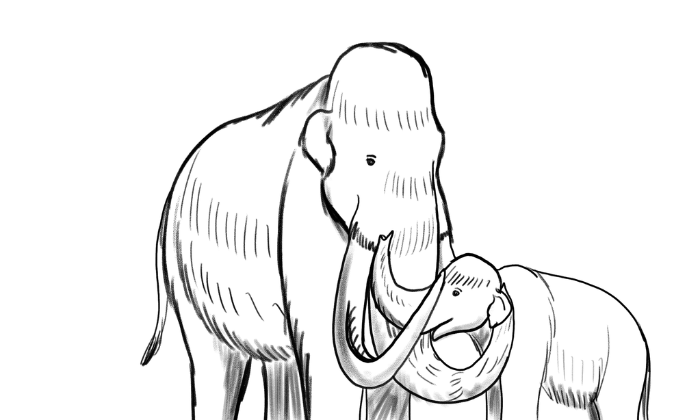 1023x614 Ps Mammoth Sketch By Troyodon - Mammoth Sketch