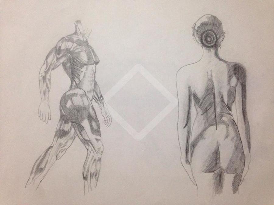900x675 Man Amp Woman Body Sketch Canvs.in - Man Body Sketch
