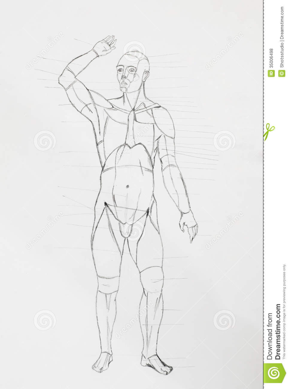969x1300 Sketch Human Pencil Image Pencil Drawing Man Body Stock Photos - Man Body Sketch