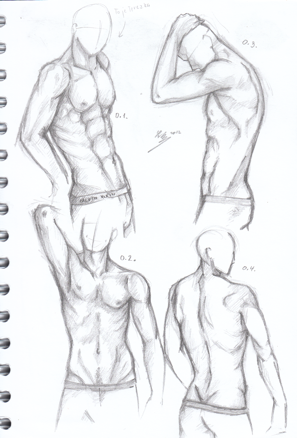 1024x1509 Men Torso Sketches - Man Body Sketch