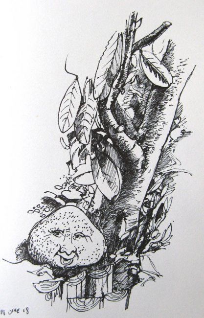 417x650 Man In The Moon (Jefferson Zipp) - Man In The Moon Sketch