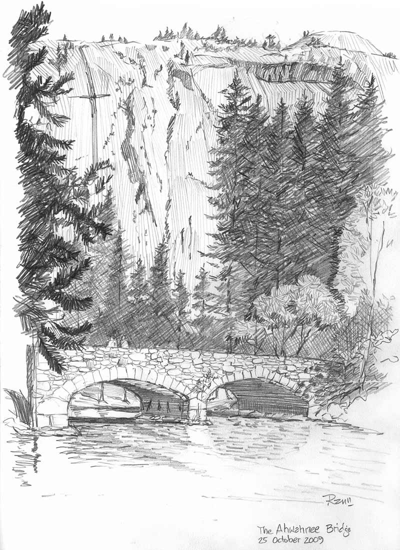 800x1100 Horse Amp Man Pencil Sketch Rann Haight - Man On Horse Sketch