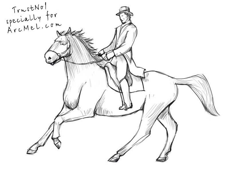 792x590 How To Draw A Rider Step By Step - Man On Horse Sketch