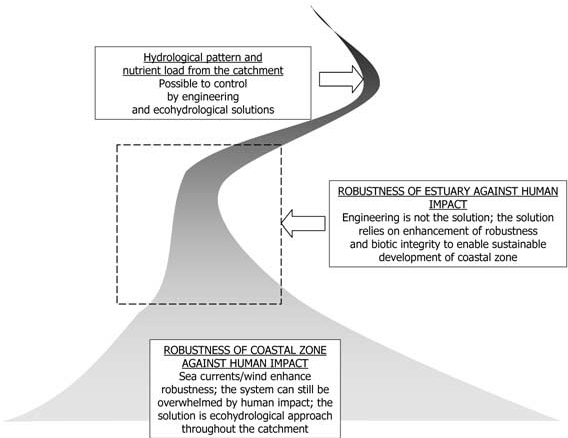 568x438 Sketch Of The Ecohydrology Based Management Of A River Basin That - Management Sketch