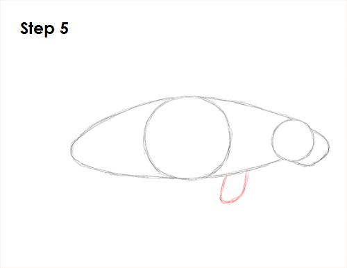 500x386 How To Draw A Manatee - Manatee Sketch
