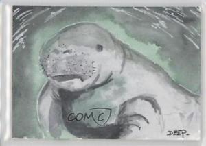 300x213 2013 Viceroy The Sketch - Manatee Sketch