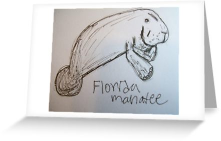 441x283 Florida Manatee (Sketch) Greeting Cards By Skylarmuller Redbubble - Manatee Sketch