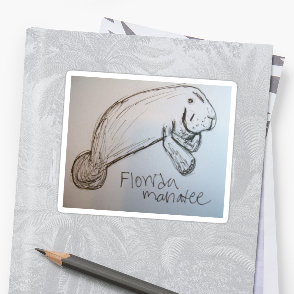 1000x1000 Florida Manatee (Sketch) Stickers By Skylarmuller Redbubble - Manatee Sketch