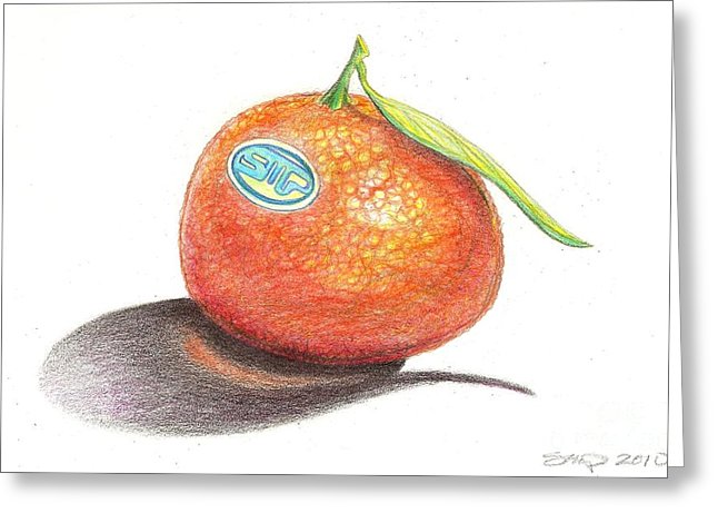646x470 Mandarin Orange Drawing By Sean Paradise - Mandarin Sketch