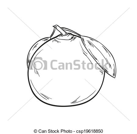 450x441 Mandarin Clipart Black And White - Mandarin Sketch