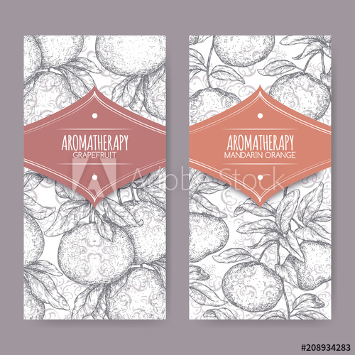 500x500 Two Labels With Citrus Paradisi Aka Grapefruit And Citrus - Mandarin Sketch