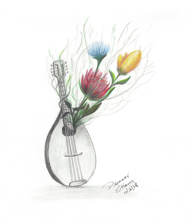 790x900 Mandolin And May Flowers Drawing By Sherry Haney - Mandolin Sketch