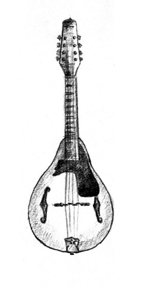 275x563 Pencil Drawing Of A Mandolin Body Art Drawings - Mandolin Sketch