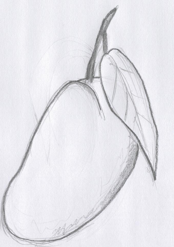 679x964 Mango Sketch By Netaro - Mango Sketch