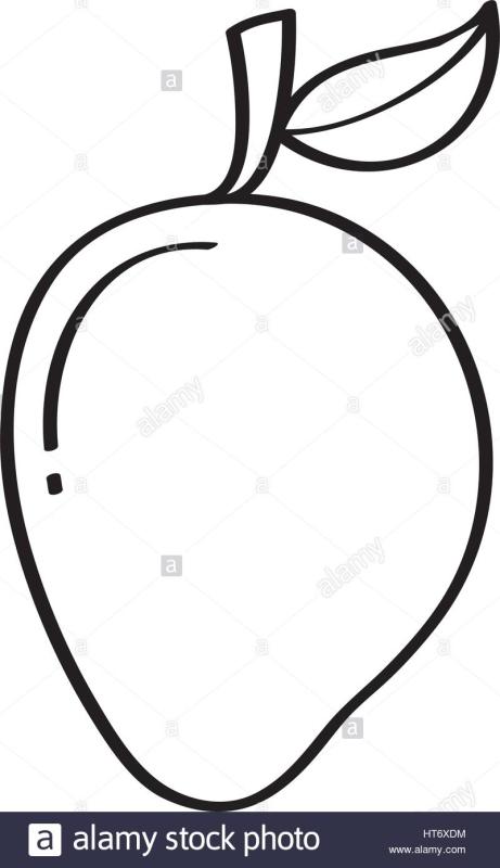 461x800 Sketch Clipart Mango 9 - Mango Sketch