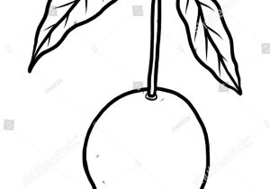 300x210 Sketch Of A Mango - Mango Sketch