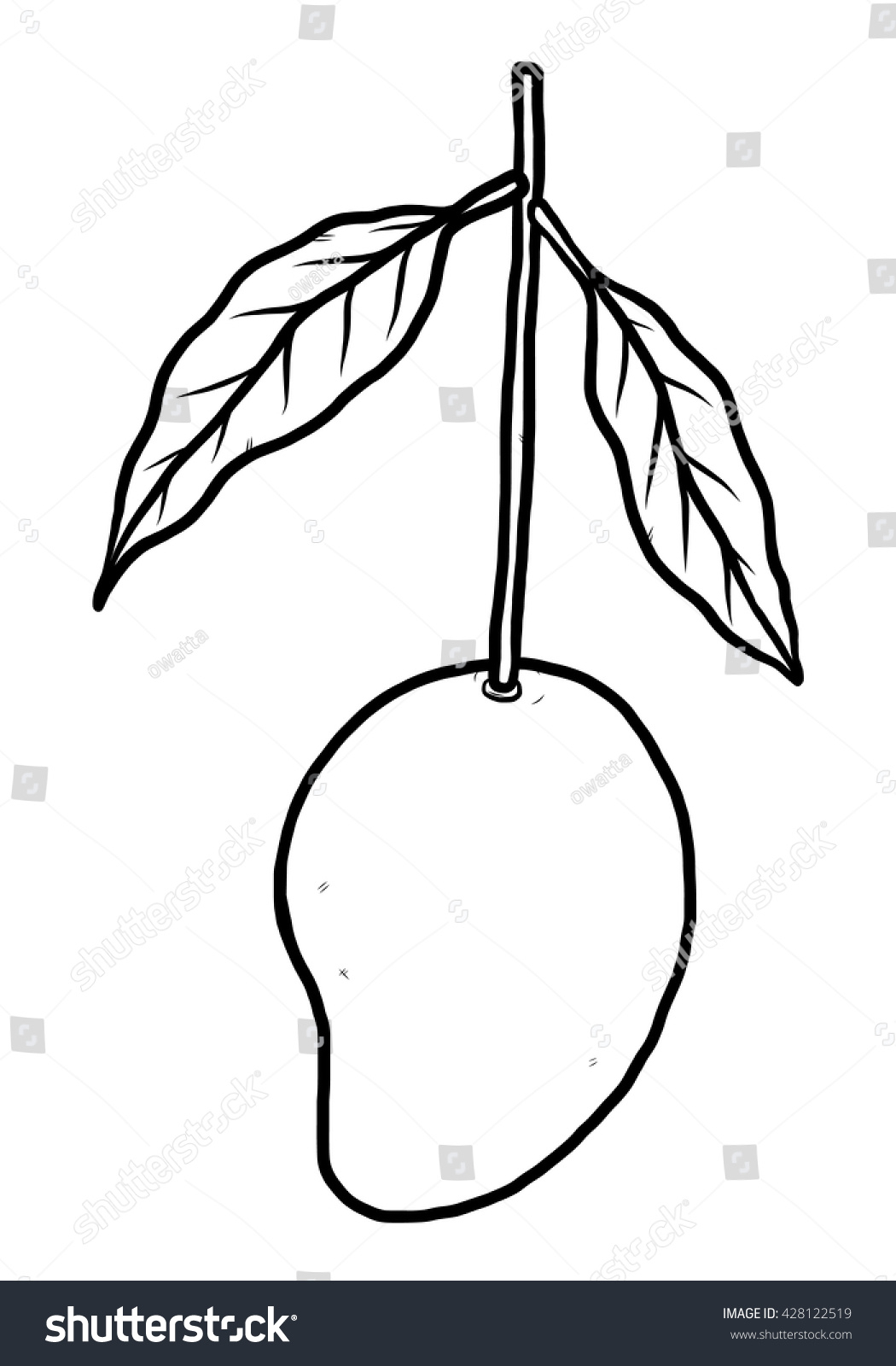 1050x1600 Sketch Of A Mango Mango Cartoon Vector Illustration Black White - Mango Sketch