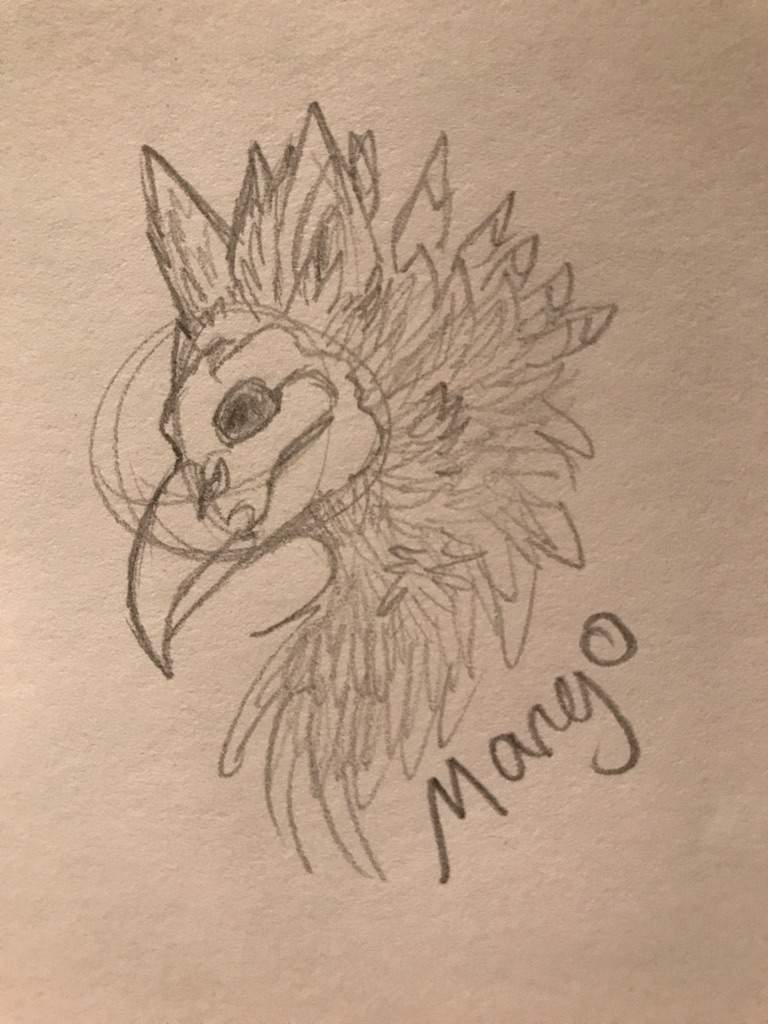 768x1024 Blueberry Mango Sketch Lupusstrix Amino - Mango Sketch