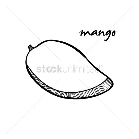 450x450 Free Mango Sketch Stock Vectors Stockunlimited - Mango Sketch