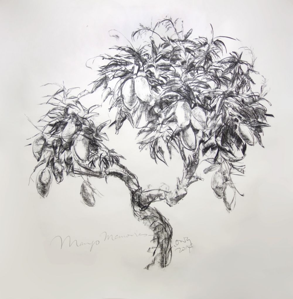 Mango Tree Sketch At Paintingvalleycom Explore Collection