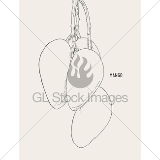 325x325 Green Ripe Mango On Tree , Sketch Vector. Gl Stock Images - Mango Tree Sketch