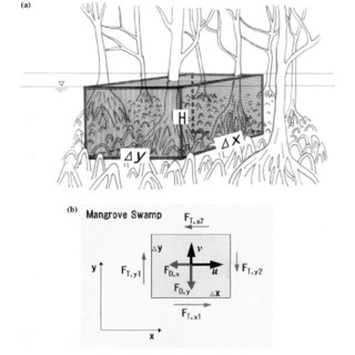 320x320 A) A Sketch Of The Control Volume In A Mangrove Swamp And (B) A - Mangrove Sketch