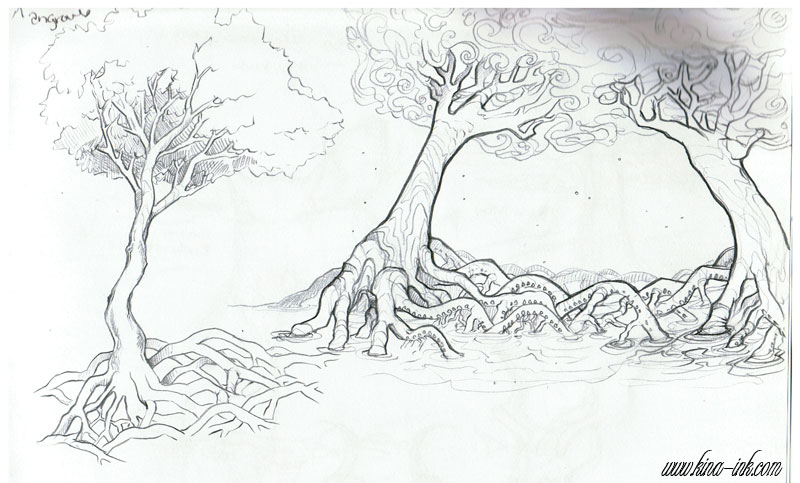 800x483 Mangrove Trees By Kina - Mangrove Tree Sketch