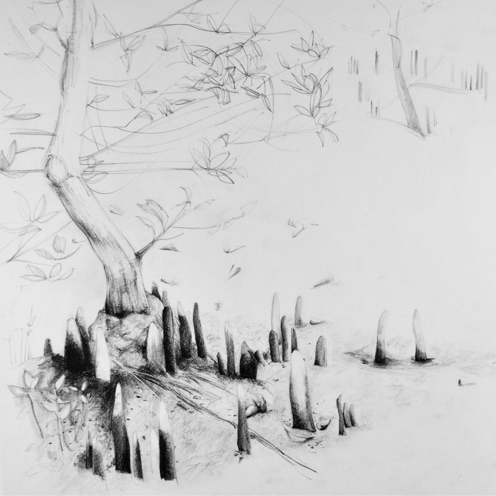 1000x1000 Breath Carriers Studio Long - Mangrove Tree Sketch