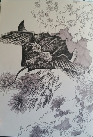 320x470 Let Inktober Begin! Day 1 - Manta Ray Sketch