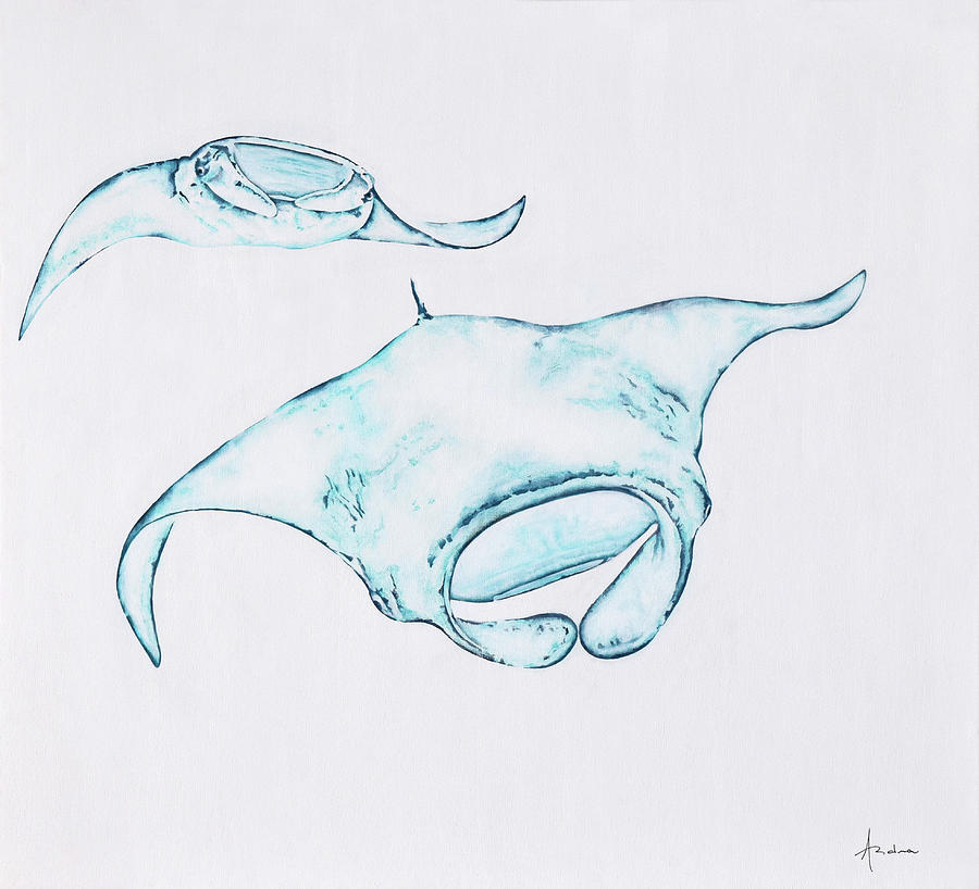 900x818 Manta Ray Painting By Andrea Angulo - Manta Ray Sketch
