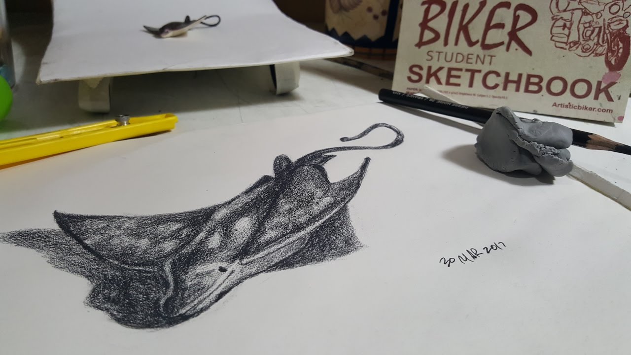1280x720 Manta Ray Speed Sketch Daily Drawing Habit - Manta Ray Sketch