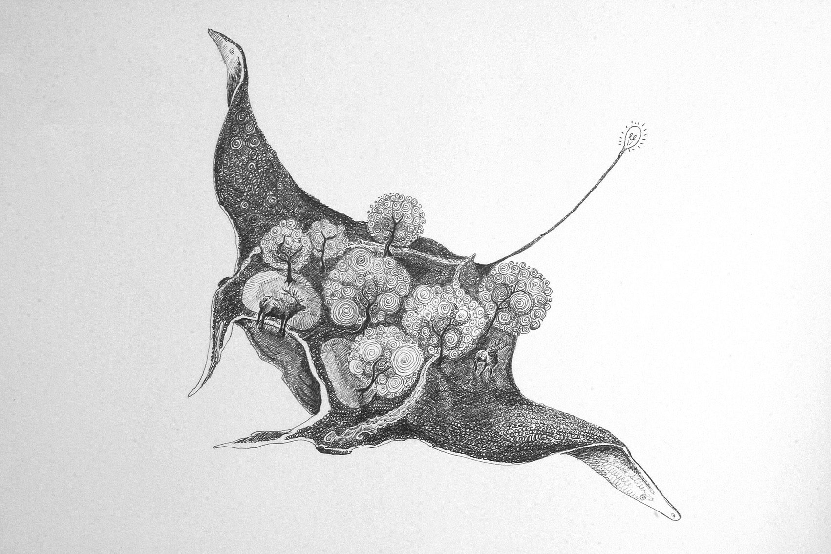 1701x1134 Olivier Marc Thomas Leger Manta Ray Sea Art Sea Creature Print - Manta Ray Sketch