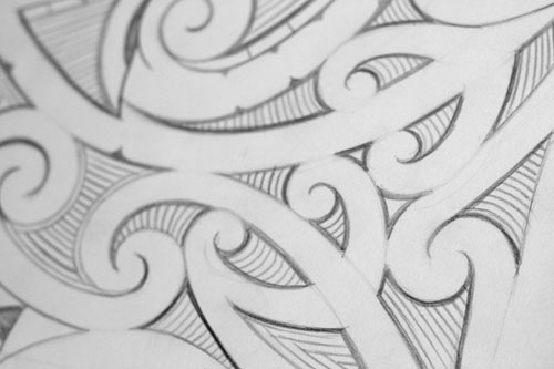 500x333 Maori Sketch Hb Pencil On Paper 8 X 5 Chris Torrance - Maori Sketch