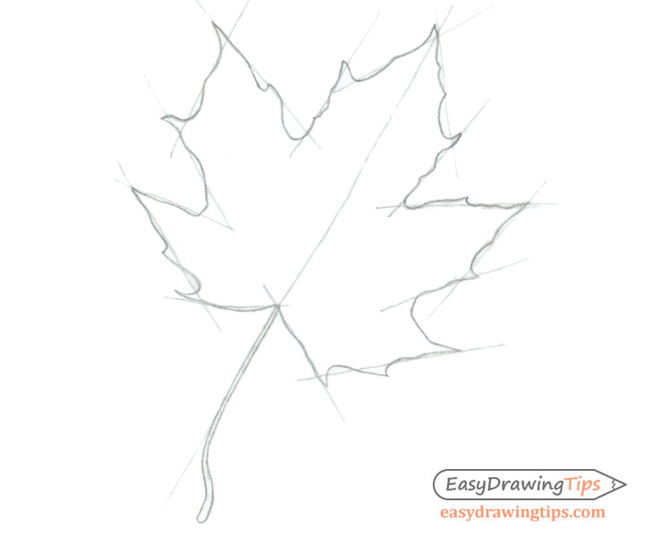 728x600 How To Draw A Maple Leaf In 3 Steps Easydrawingtips - Maple Leaf Sketch