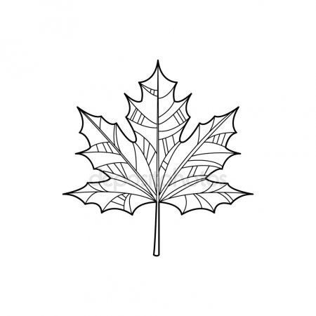 450x450 Maple Leaf Clip Art Black And White Canadian Maple Leaf Adult - Maple Leaf Sketch