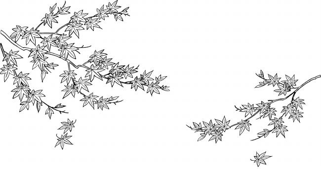 650x343 Maple Leaf Chinese Restaurant Sketch Hd Pictures Free Download - Maple Sketch