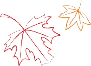 300x217 Maple Leaf Clipart Sketch - Maple Sketch