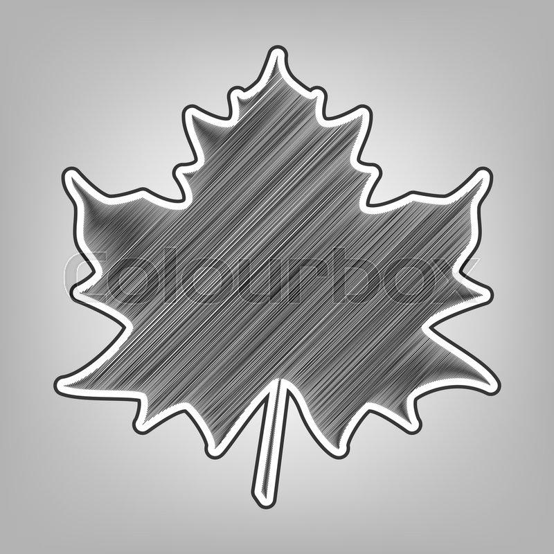 800x800 Maple Leaf Sign. Vector. Pencil Sketch Imitation. Dark Gray - Maple Sketch