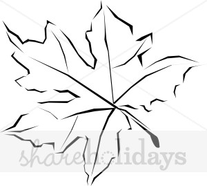 300x269 Sketch Maple Clipart Thanksgiving Clipart Amp Backgrounds - Maple Sketch