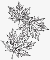 200x240 Sketch Maple Leaf, Leaves, Maple Leaf, Trees Png Image And Clipart - Maple Sketch
