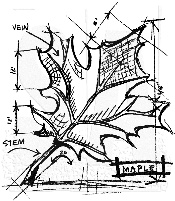 698x800 Tim Holtz Wood Mounted Stamp - Maple Sketch