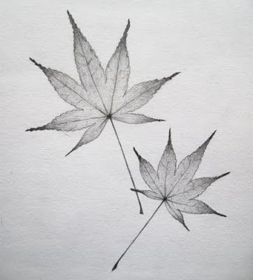 362x400 Gallery For Gt Japanese Maple Leaves Drawing Tattoos - Maple Sketch